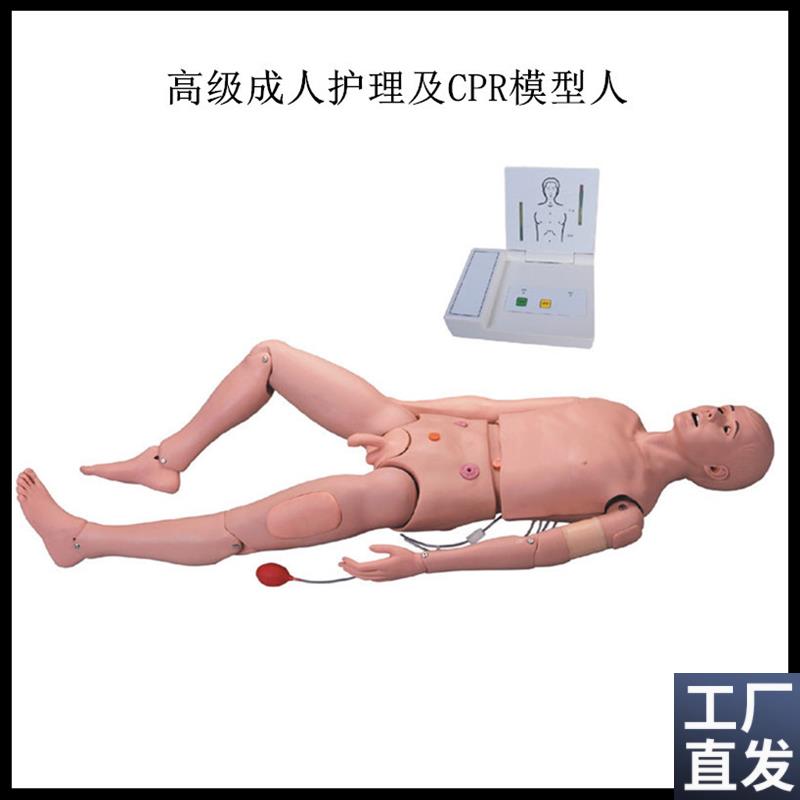 高级成人护理g及CPR模型人鼻饲导管胃训练模型心肺复苏急救术假人