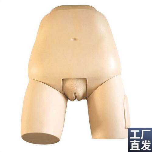 高级子宫底检查评定模型妇幼婴产科O技能训练考试模具