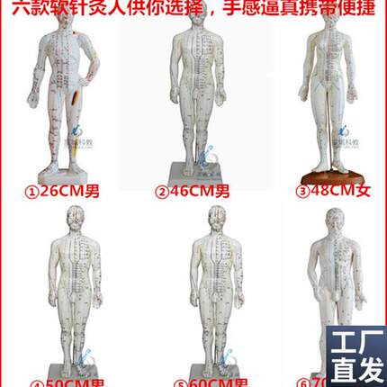 超清人体针灸穴位模型经络通铜人刻字中医教学人体模Z型男女小人