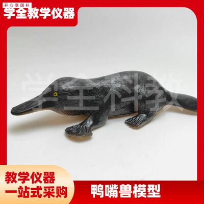 3237鸭嘴兽模型r初高中生物教学演示科教仪器动物模型pvc制作无味