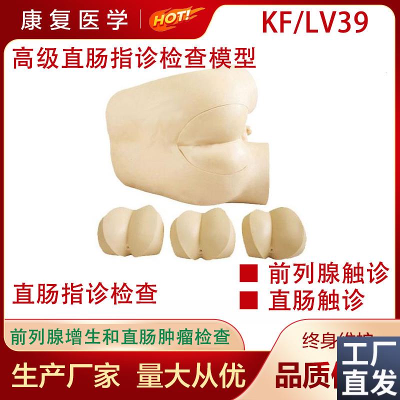 高级直肠指诊检查模型肛u检诊模型肛门指诊检模型医教学用模型