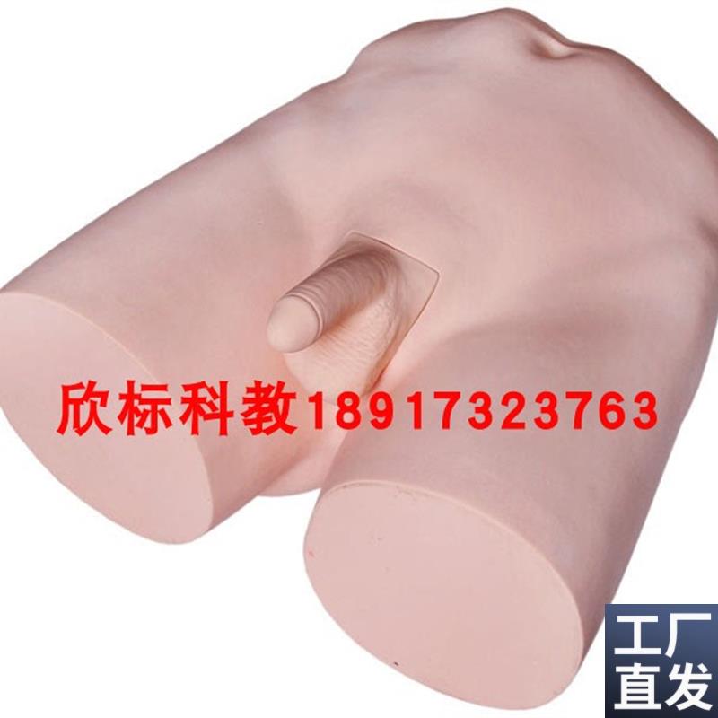 输精管结扎术训练模n型护士培训结扎术训练模型教学结扎术模型