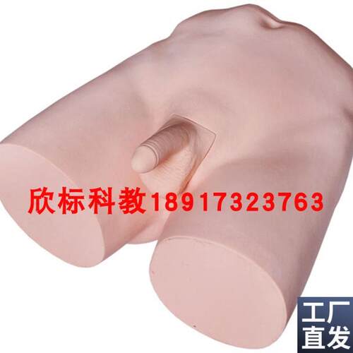 输精管结扎术训练模n型护士培训结扎术训练模型教学结扎术模型