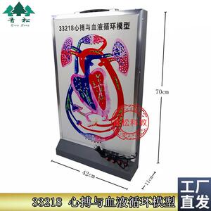 心搏与血b液循环模型33218动态演示生物实验器材教学仪器正品