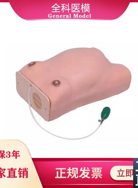 W1高级孕妇检查模型孕妇腹部触诊培训练习妇科S宫内孕妇检查模型