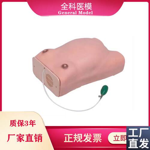 W1高级孕妇检查模型孕妇腹部触诊培训练习妇科S宫内孕妇检查模型