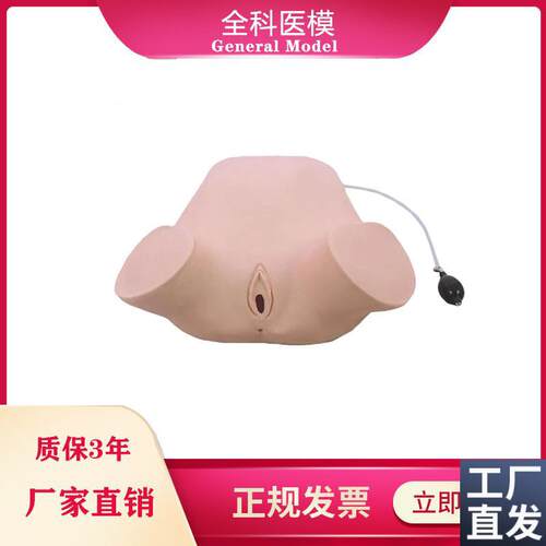 四步触诊肛查阴道检查s训练模型妇产科检查示教技能训练模型