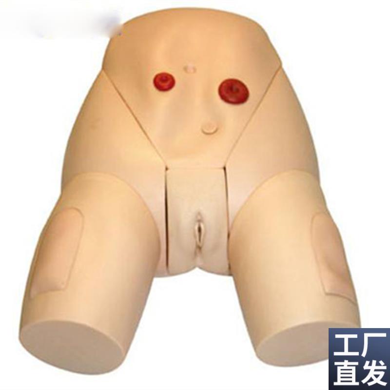 高级医学导尿器官实习练习模型女性E生殖器导尿培训模型训练模具