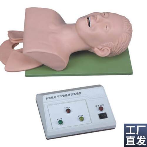 电子人体气f管插管训练模型气管插管模型成人气管插管模型