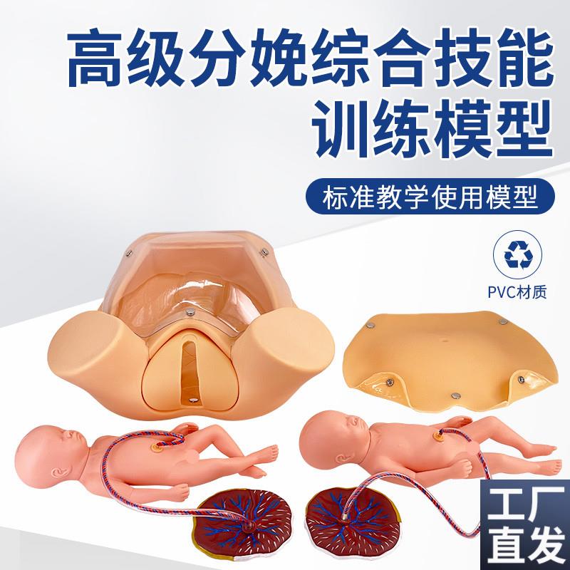 高级分娩综合技k能训练模型分娩助产示教模型分娩机制示教模型