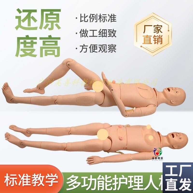 高级男女性护理人体模型灌肠A插尿管医学导尿技能操作护理模特