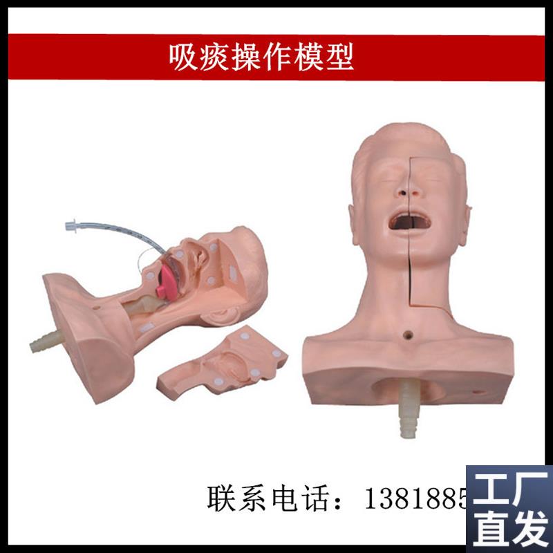 高级吸痰b练习模型气管插入吸引练习头部局部模型厂家直销