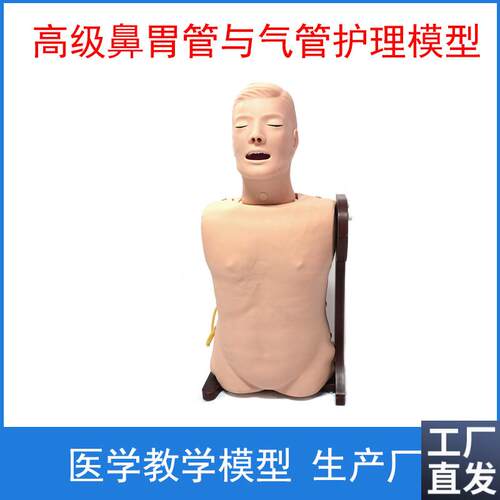 高级鼻胃管与气管护理模型鼻饲模型教学R模型护理培训练习