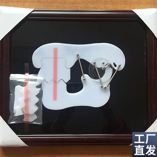 牙齿教学训练演示板牙科牙颌关节W咬合示教板