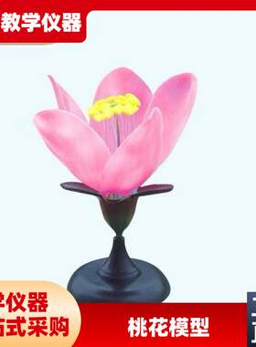 桃花模型初高中生物实验教学演示科教仪L器花类识别类型教学仪器