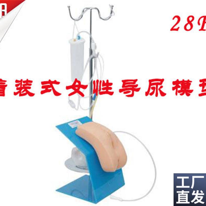 着装式女性导尿模型女性导尿术练习模N型导尿操作实习模型