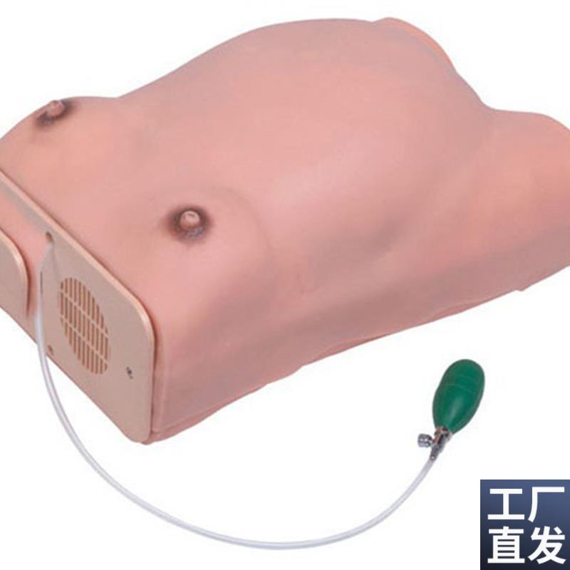 高级孕妇检查模型妇科检查模具T怀孕检查模型
