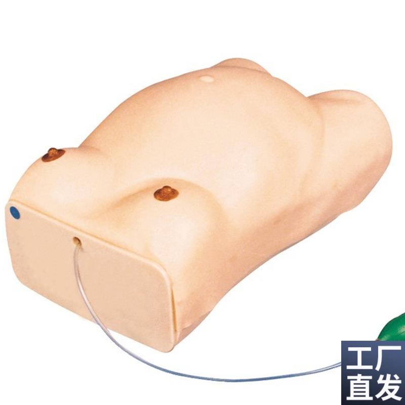 高级孕妇检查模i型GD/FW1/妇科检查模型/怀孕检查模型电子检查人