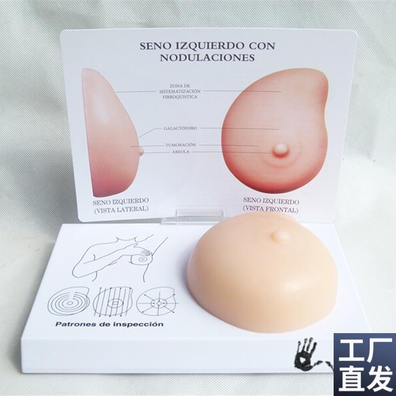病理乳房模型乳房自检p模型乳房硬块软料硅胶计生办医用教学模型