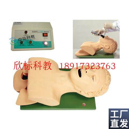 电子人体气管插管模具成人气y管插管护士练习用气管插管教学教具