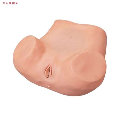 上海妇科训练内诊训练模型妇女d检查模型妇婴训练模型子宫触诊视