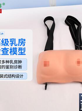 医博BIX-F14高级穿戴式乳房检查教学演示模型女M性乳房病变触诊教