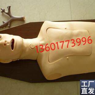 支气管内窥镜检查训练模型x内窥镜练习模型支气管检查模型人