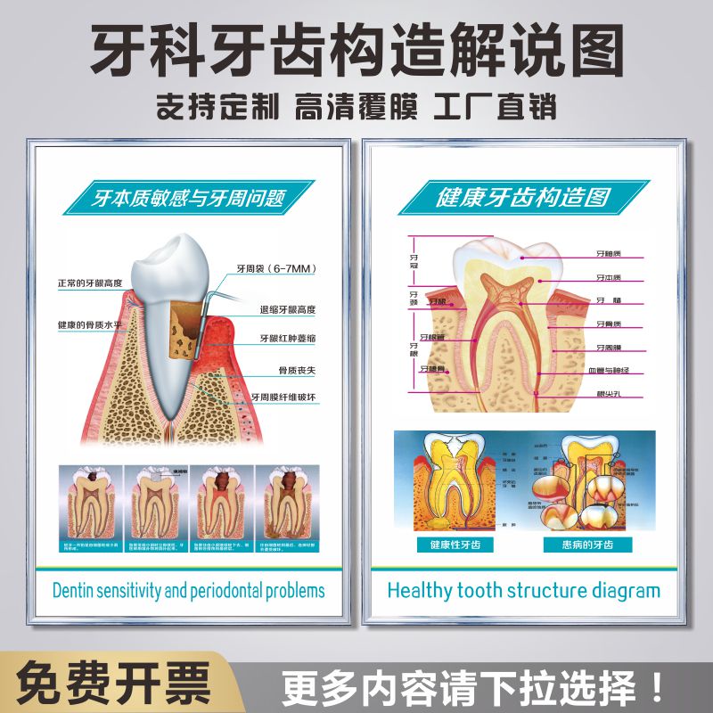 牙科诊所牙齿医生规则龋齿的危害牙齿的疾病牙本质敏感与牙周问题牙齿