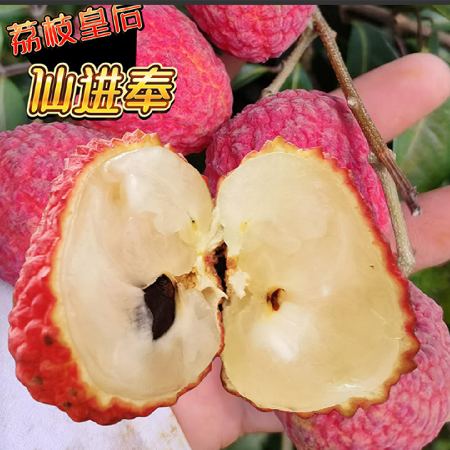 荔枝新鲜包邮冰荔香荔仙奉荔糯米糍现摘现发应季水果灵山顺丰空运