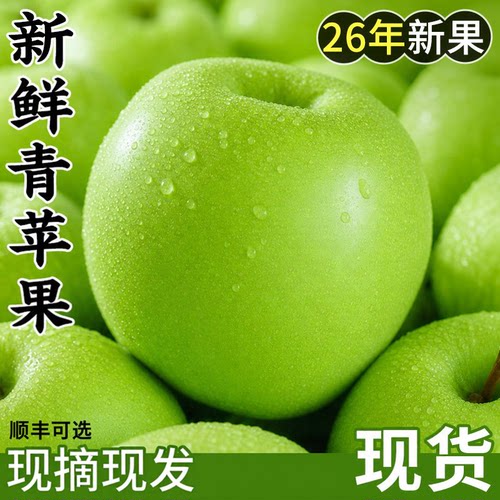 新疆青苹果5斤大果当季现摘新鲜脆苹果孕妇时令水果整箱顺丰可选