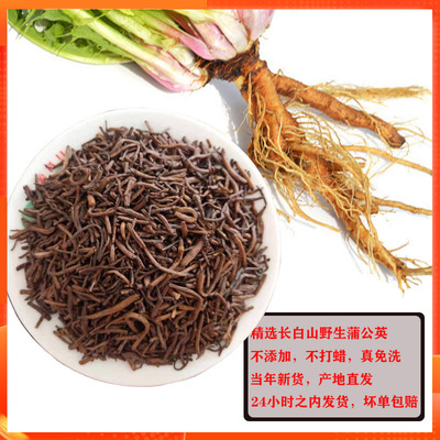 长白山炒熟通乳腺女性蒲公英茶