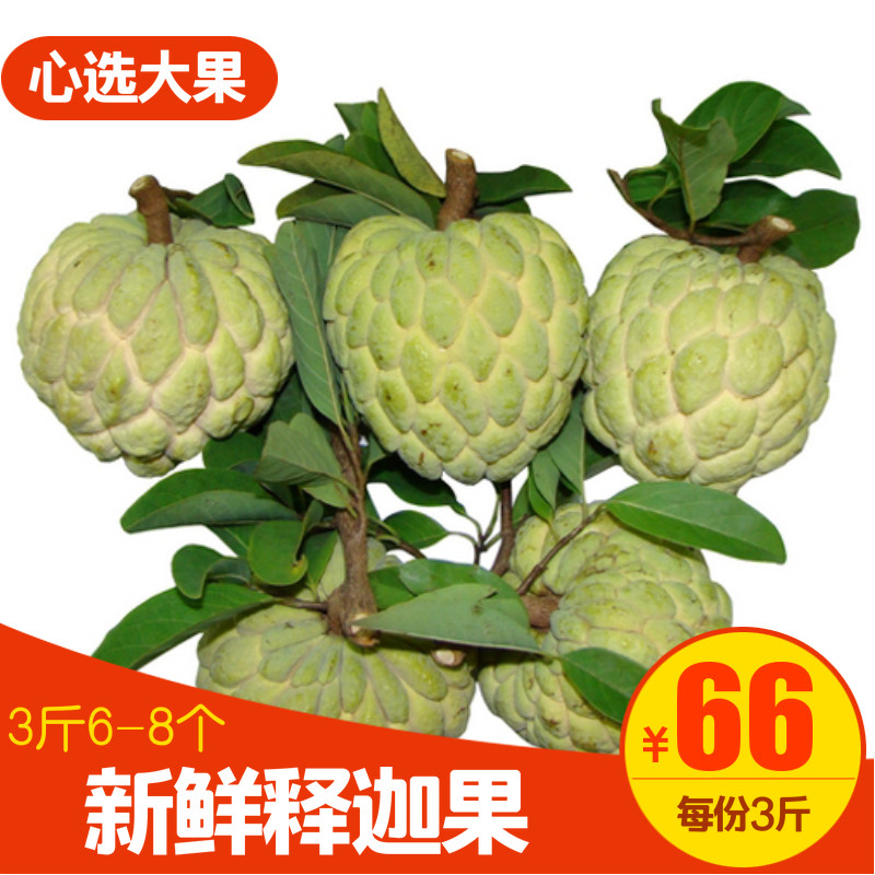 新鲜越南引种刺果番荔枝释迦摩尼果佛头果热带水果 一份3斤在类目 水产肉类/新鲜蔬果/熟食, 新鲜水果, 番荔枝/释迦中 - 来自Buy2taobao.com提供专业的淘宝代购服务