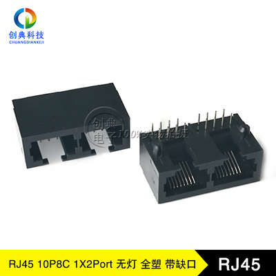 RJ45网口全塑10P8C镂空缺口无灯