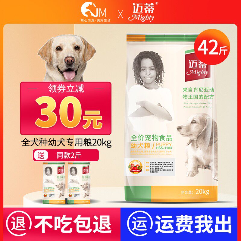 迈蒂40斤金毛拉布拉多边牧大型犬
