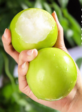 特大牛奶枣树苗嫁接牛奶大青枣树果苗南北方庭院盆栽地栽当年结果