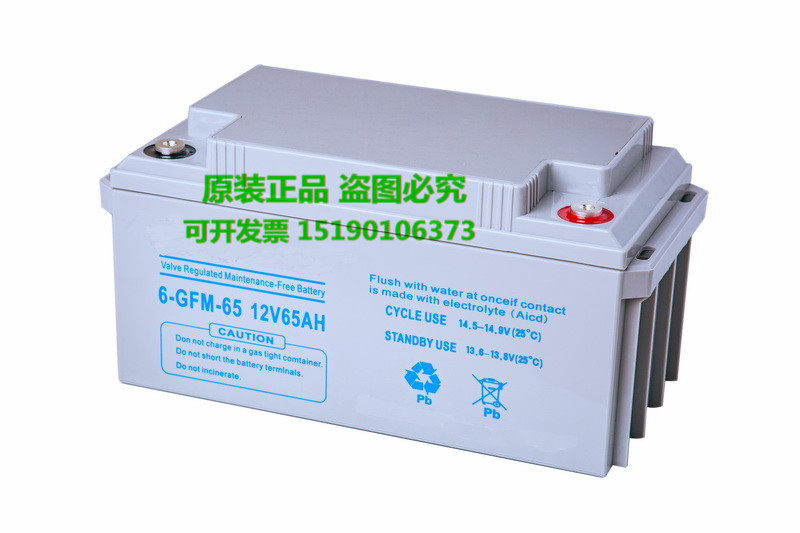 CAUTION蓄电池6-GFM-65/12V65AH深循环储能 船舶 UPS 免维护 电瓶