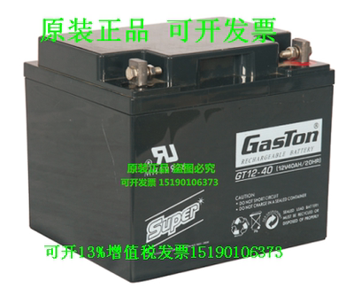 GasTon蓄电池GT12-40(12V40AH/20HR) 医疗设备 精密仪器 UPS 电瓶