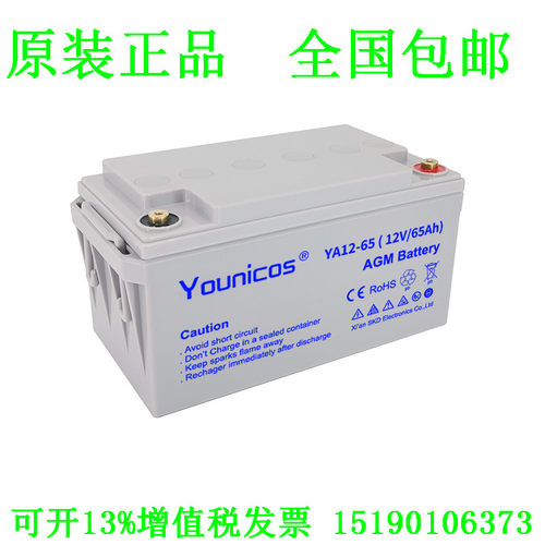 Younicos蓄电池 YA12-65(12V65AH）免维护直流屏 UPS 电源 电瓶