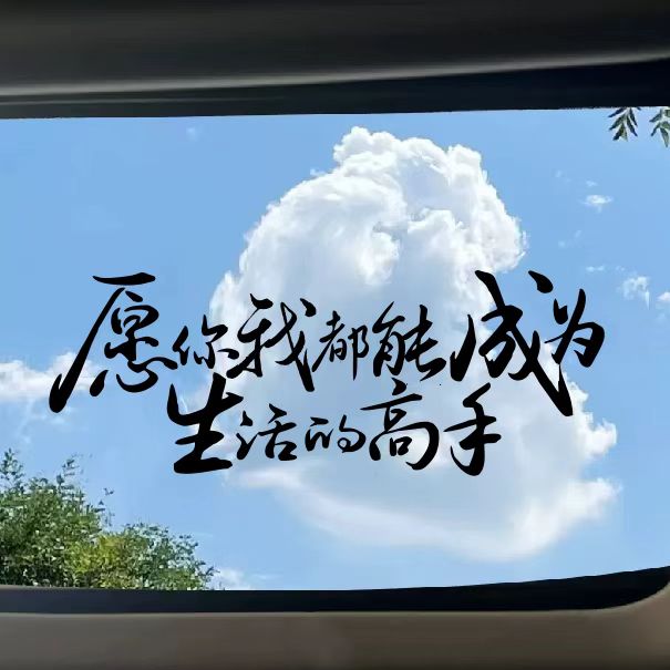 生活的高手汽车贴纸创意个性情感文案车门后挡风玻璃天窗防水贴纸