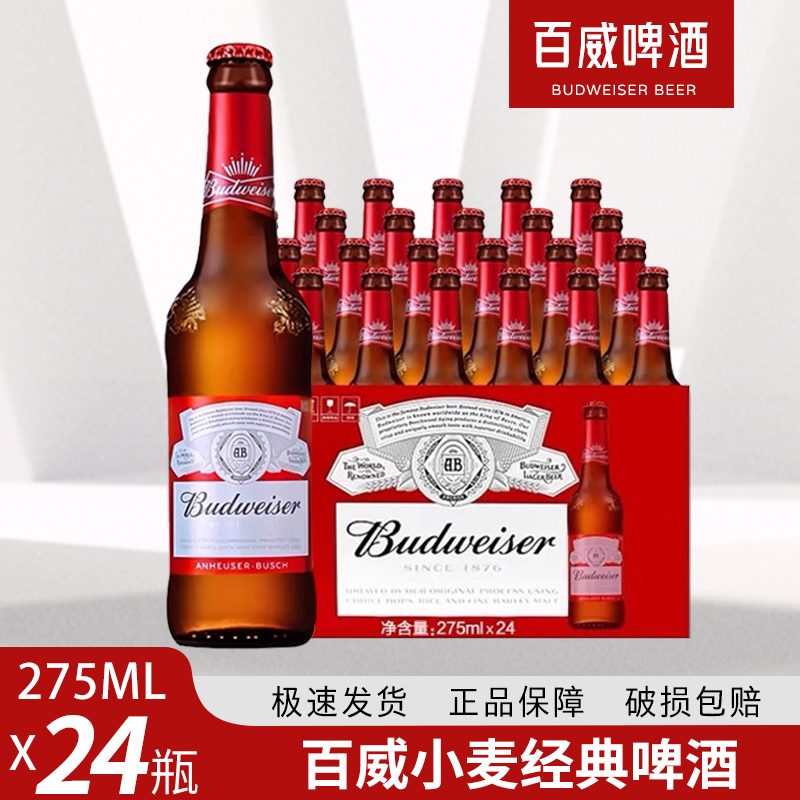 百威啤酒小瓶装啤酒小麦啤酒经典醇正清爽黄啤275ml*24瓶整箱包邮