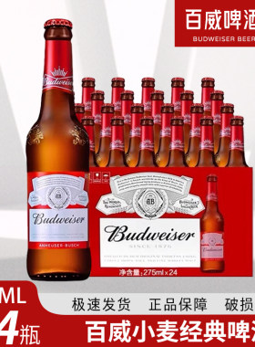 百威啤酒小瓶装啤酒小麦啤酒经典醇正清爽黄啤275ml*24瓶整箱包邮