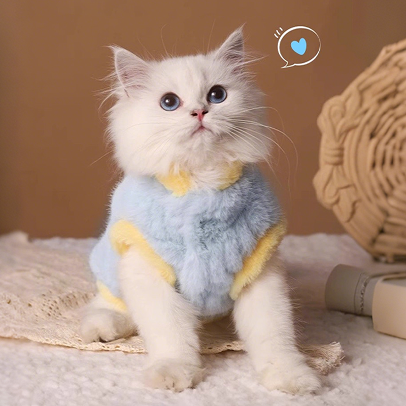 2025新款加厚猫衣服冬装