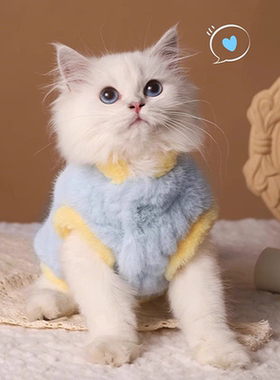 猫咪衣服秋冬保暖布偶德文小猫马甲冬装棉衣加绒冬天猫猫宠物冬季