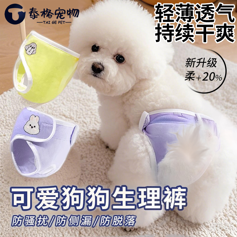 宠物狗狗生理裤安全纸尿裤尿不湿