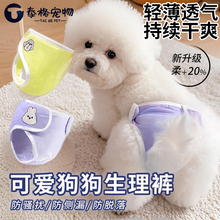 宠物狗狗生理裤泰迪姨妈巾月经期防骚扰小狗安全纸尿裤狗尿不湿母