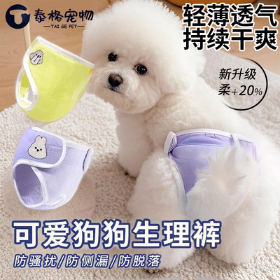 宠物狗狗生理裤安全纸尿裤尿不湿