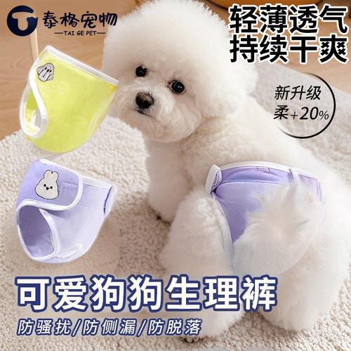宠物狗狗生理裤安全纸尿裤尿不湿