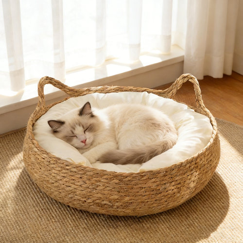 猫奴，你家主子要换豪华新房