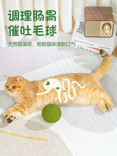 Большая мятная игрушка, прорезыватель, кот, избавление от скуки, домашний питомец