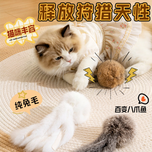 猫咪玩的停不下来，没时间拆家！
